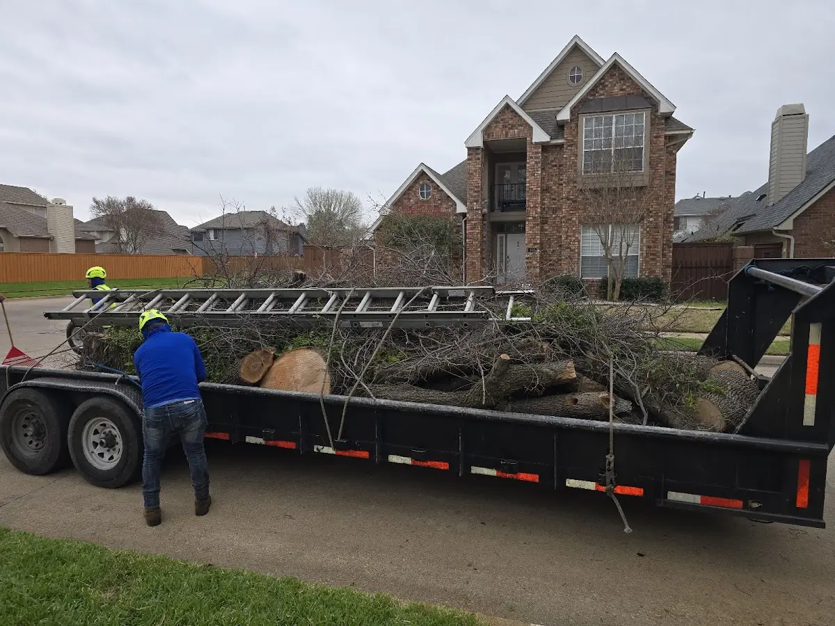 Expert Lot Clearing with proper safety equipment in Hamel